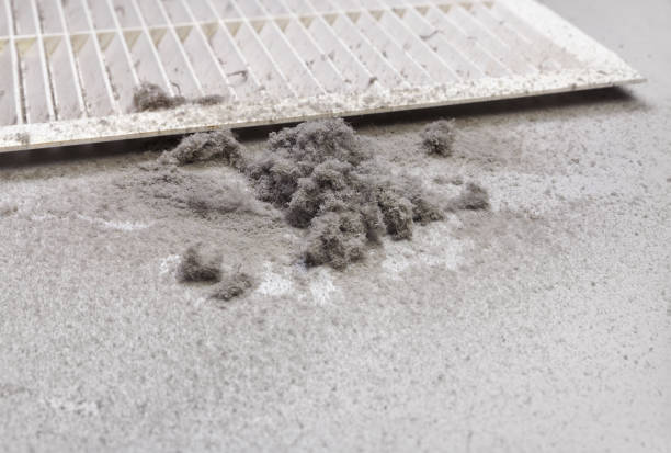 Best Home Air Vent Cleaning  in Henderson, NC